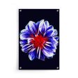 Blue Flower With Red Center Cheap