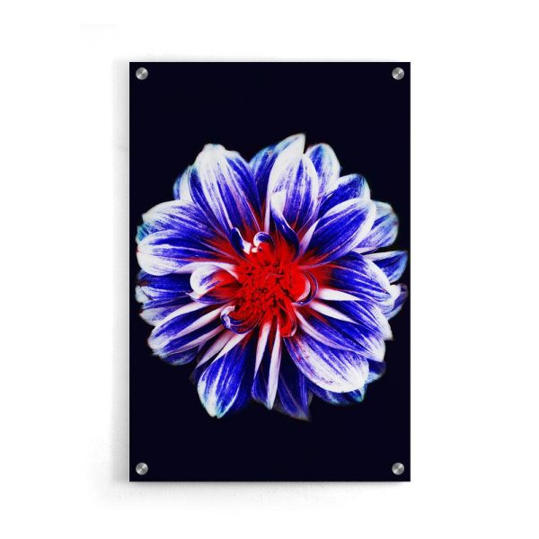 Blue Flower With Red Center Cheap