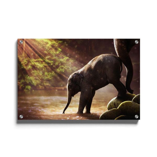 Baby Olifant Online