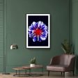 Blue Flower With Red Center Cheap