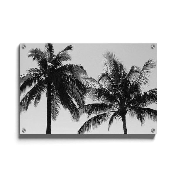 Tropical Palms Cheap