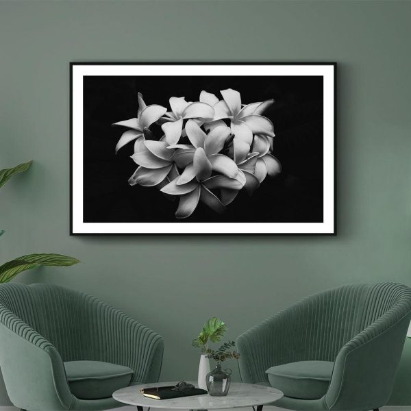 Boeket Plumeria Bloemen Fashion