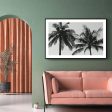 Tropical Palms Cheap