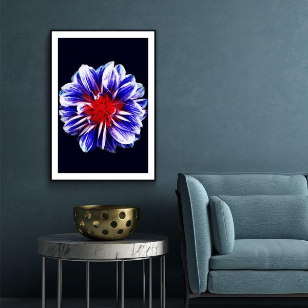 Blue Flower With Red Center Cheap