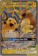 Raichu & Alolan Raichu (54 236) (Pikarom Judge - Haruki Miyamoto) [World Championships 2019] Hot on Sale