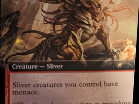 Belligerent Sliver (Extended Art) [Secret Lair Drop Series] Sale