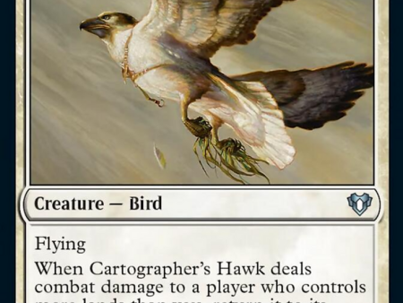 Cartographer s Hawk [Commander Masters] Online now