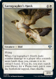 Cartographer s Hawk [Commander Masters] Online now