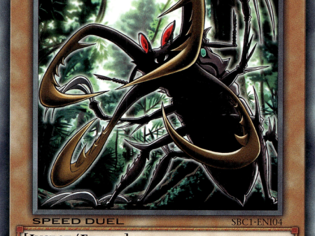 Cross-Sword Beetle [SBC1-ENI04] Common For Sale