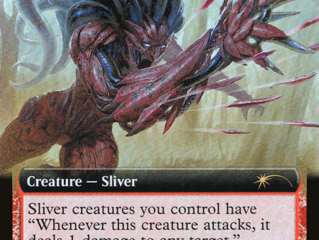 Thorncaster Sliver (Extended Art) [Secret Lair Drop Series] Online Hot Sale